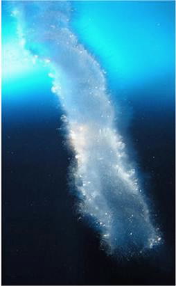 tube of ice in a sea called "sea stalactitesâ  