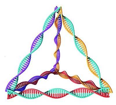 drawing of tetrahedral framework nucleic acids