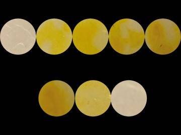 Eight discs of varying shades of yellow