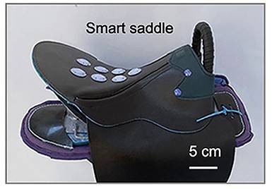 Prototype "smart saddle" powered by TENGs