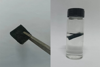 A black sponge held by tweezers to the left and another black sponge floats in a vial of water to the right.