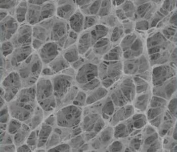 A black and white image of sponge-like pores.