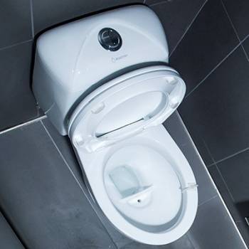 A urine-diverting toilet has a two-compartment bowl: The front compartment has a tiny hole for draining urine, and the back compartment has water in it.