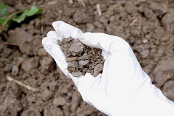 A hand wearing white gloves holds a handful of soil above a soil background