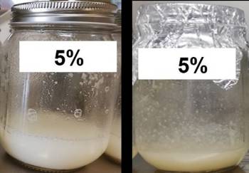 Two jars of the 5% rice flour beverage, milky-white in color before pasteurization, and an off-white color after.