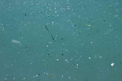 Underwater shot of plastic debris floating in the water