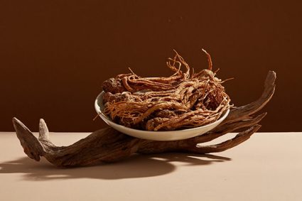 Female ginseng roots on a plate with decorative driftwood