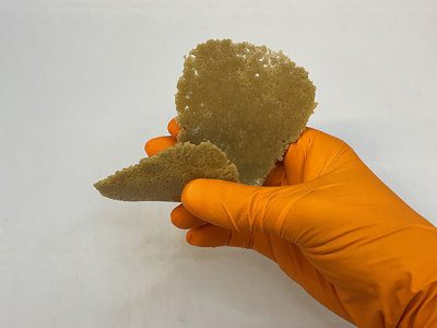 A hand in a glove holding a folded piece of brown porous flexible foam.