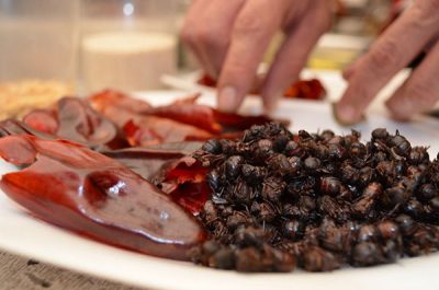 A chef prepares a plate of roasted chicatana ants and dried chili peppers.