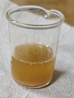 A clear beaker holding a golden liquid