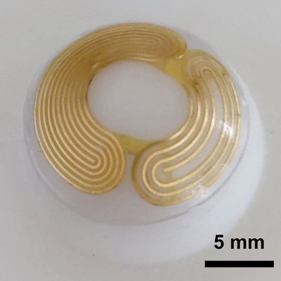 A clear film shaped into a hemisphere with two separate gold metallic spirals along the sides. The lens is larger than a 5-millimeter scale bar. 