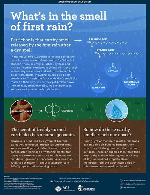 What's in the Smell of First Rain?