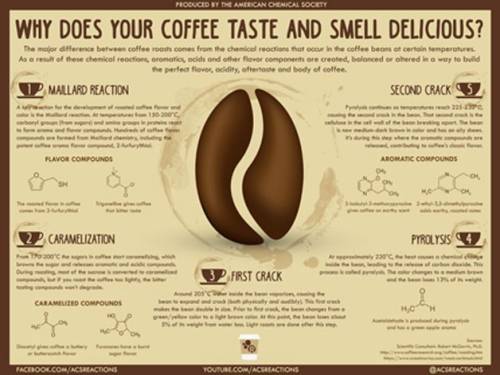 Why Does Your Coffee Taste and Smell Delicious?