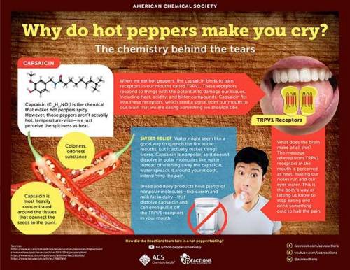 Why do hot peppers make you cry?