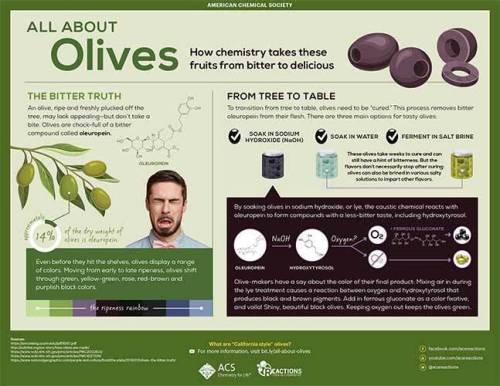 All about olives