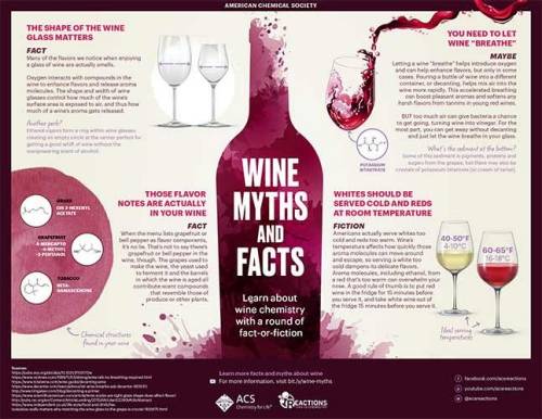 Wine myths and facts