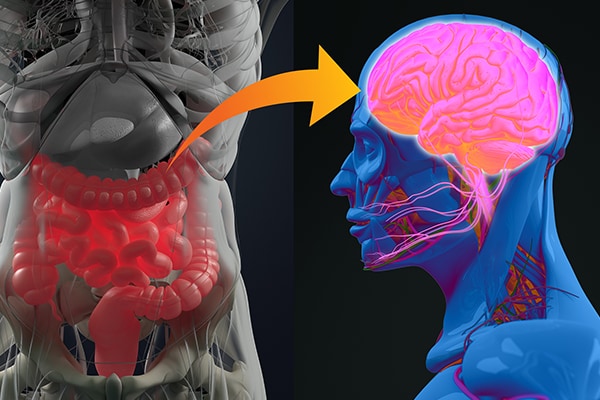 The Gut Microbiome-Brain Alliance: The Connection to Health and Disorders
