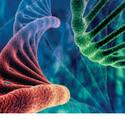 Biological/Biochemistry image
