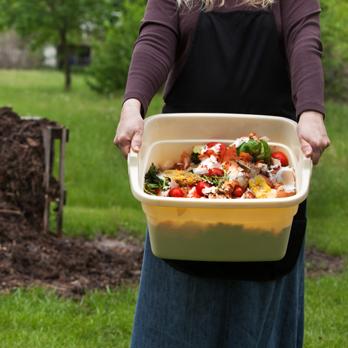 Compost: Your Trash, Nature's Treasure! image