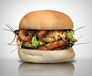 Bugs and the Future of Meat image