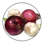 Garlic and Other Alliums: The Lore and the Science image