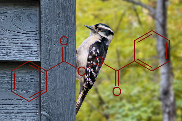 Woodpecker Chemistry image