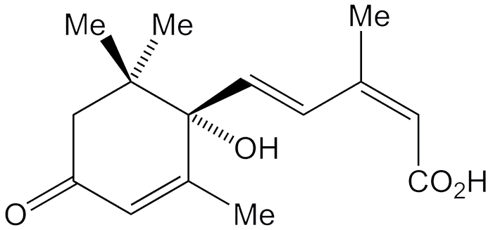 Image of Abscisic acid