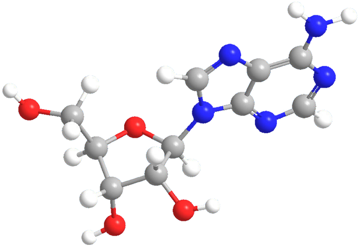 3D Image of Adenosine