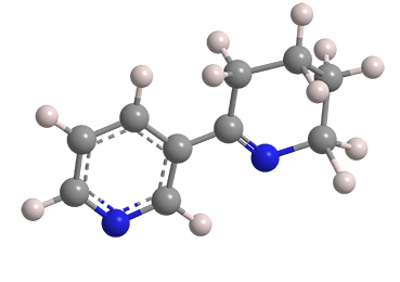 3D Image of Anabaseine