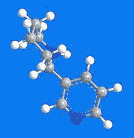 3D Image of Anabasine