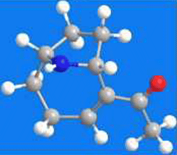 3D Image of (+)-Anatoxin-a