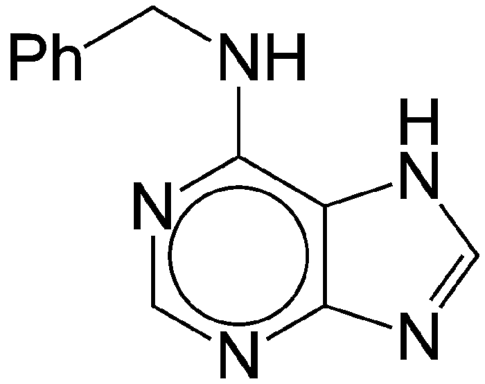 Image of 6-Benzyladenine