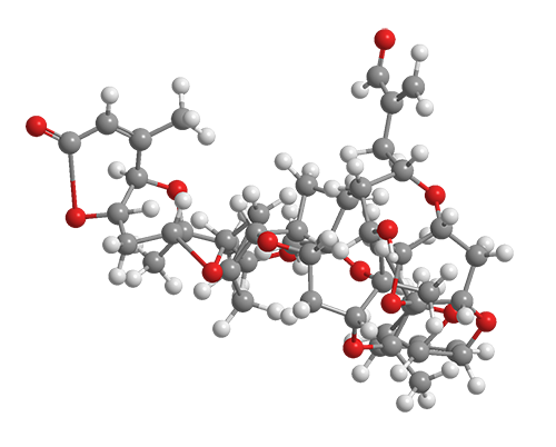 3D Image of Brevetoxins