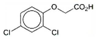 Image of 2,4-Dichlorophenoxyacetic acid