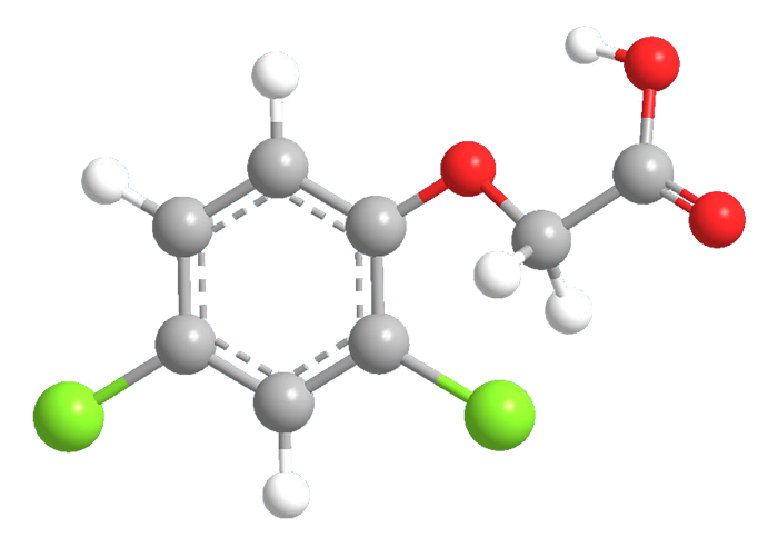 3D Image of 2,4-Dichlorophenoxyacetic acid