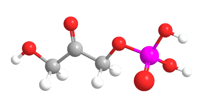 3D Image of Dihydroxyacetone phosphate
