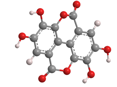 3D Image of Ellagic acid