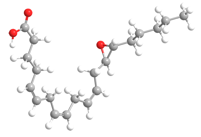 3D Image of all-cis-Epoxyeicosatrienoic acid