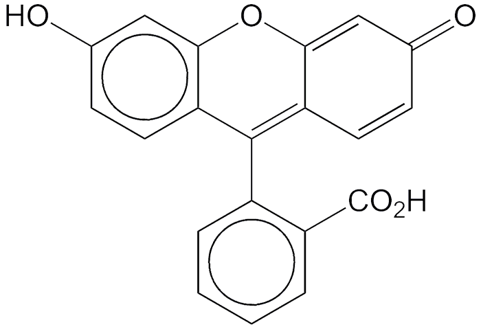 Image of Fluorescein