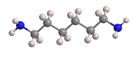 3D Image of Hexamethylenediamine