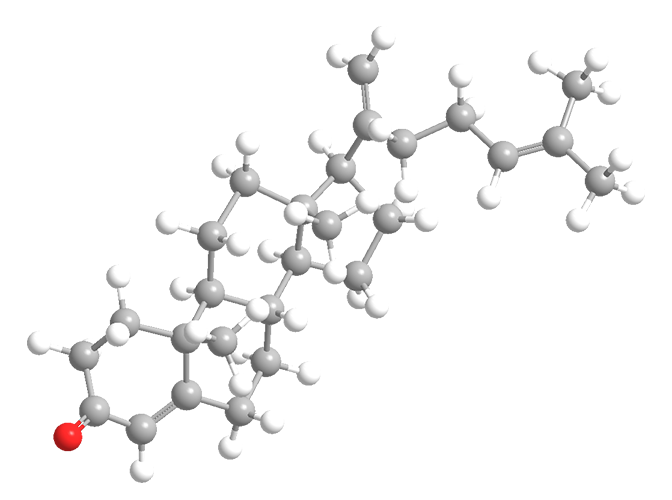 3D Image of Pentalinonsterol  