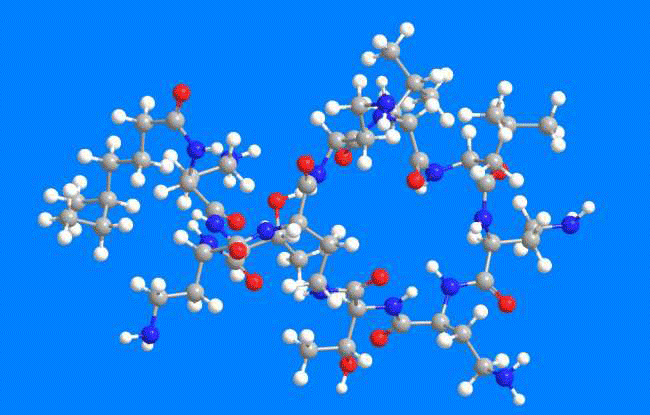 3D Image of Polymyxins