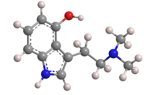 3D Image of Psilocin