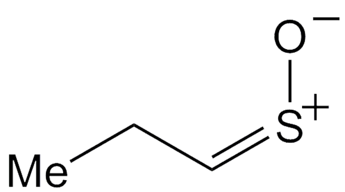 Image of syn-Propanethial S-oxide