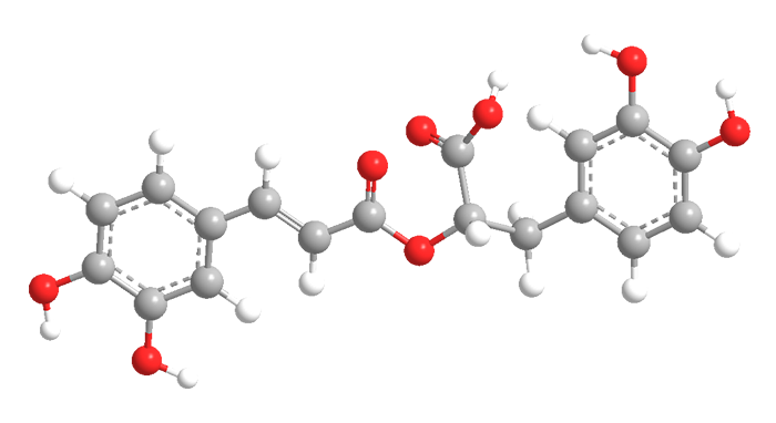 3D Image of Rosmarinic Acid
