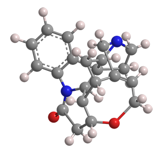 3D Image of (+)-Strychnine
