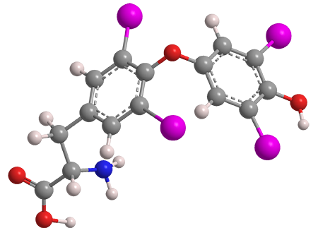 3D Image of L-Thyroxine