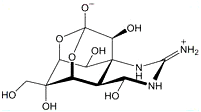 Image of Tetrodotoxin