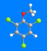 3D Image of 2,4,6-Trichloroanisole