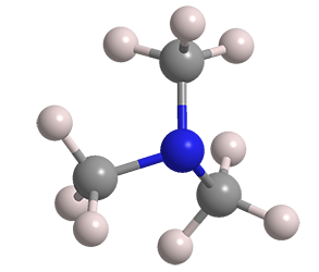 3D Image of Trimethylamine